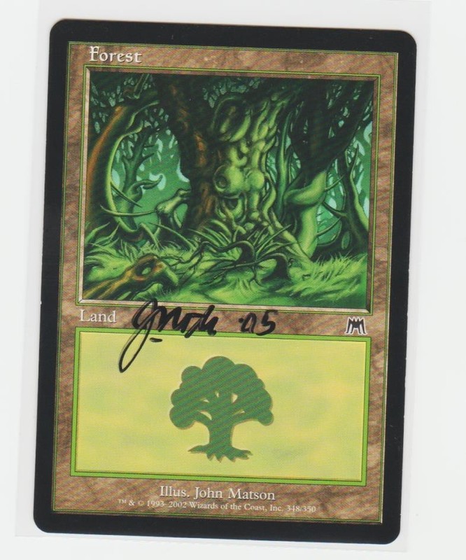 Magic the Gathering ~ Forest (348) ~ LP ~ Onslaught ~ Signed by Artist