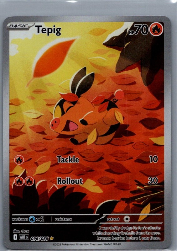 Tepig Illustration Rare SV: White Flare 096/086 NM