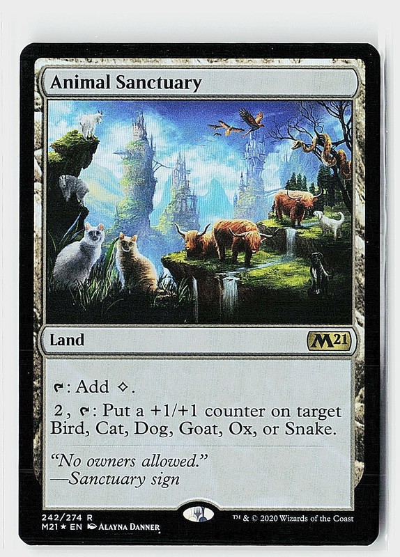 Animal Sanctuary Foil R Core Set 2021 242 NM