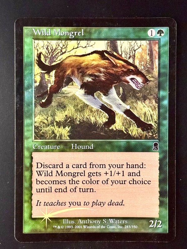 MTG – Wild Mongrel – FOIL / LP – Odyssey #283 – COMMON – EN – REG