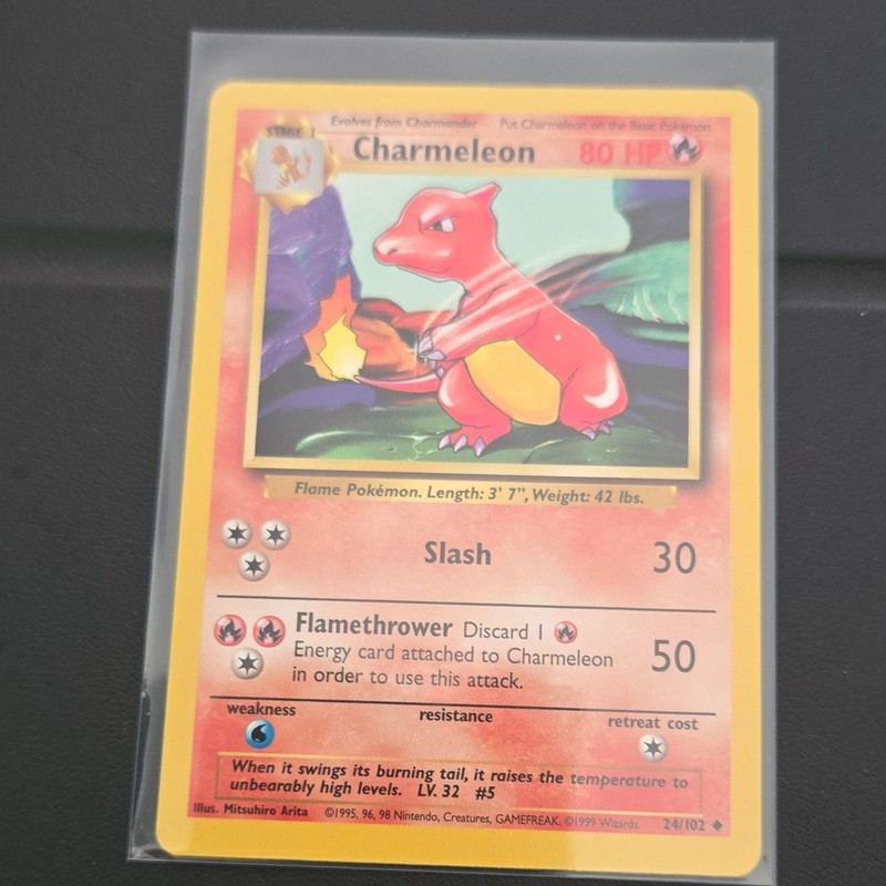 1999 Charmeleon 24/102