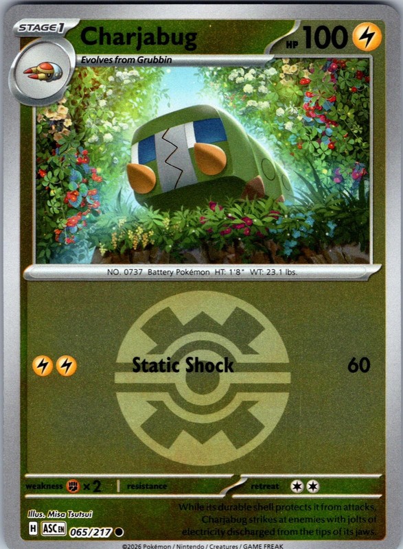 Charjabug (Quick Ball) 065/217 Holo Ascended Heroes Pokemon Reverse Holo NM