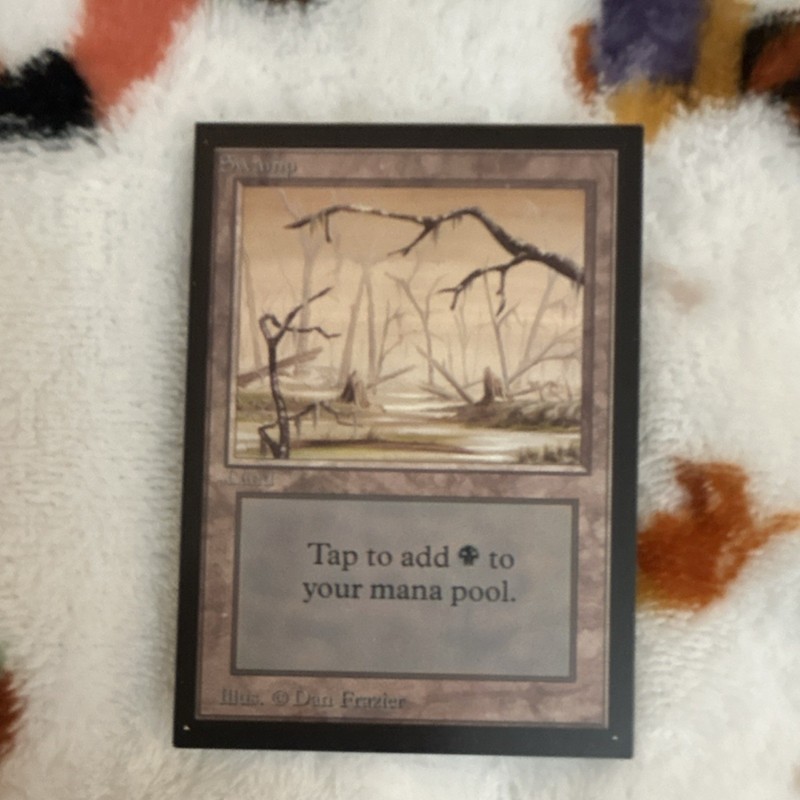 Wizards of the Coast Swamp Black Basic Land MTG Unlimited English Dan Frazier