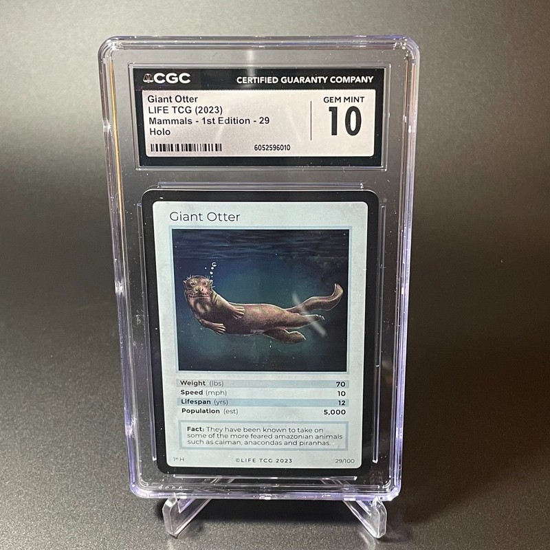 CGC 10 Giant Otter HOLO #47/100 LIFE TCG Mammals gallery