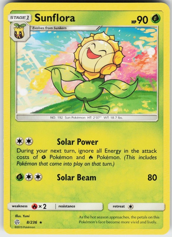 SUNFLORA 8/236 R NEAR MINT