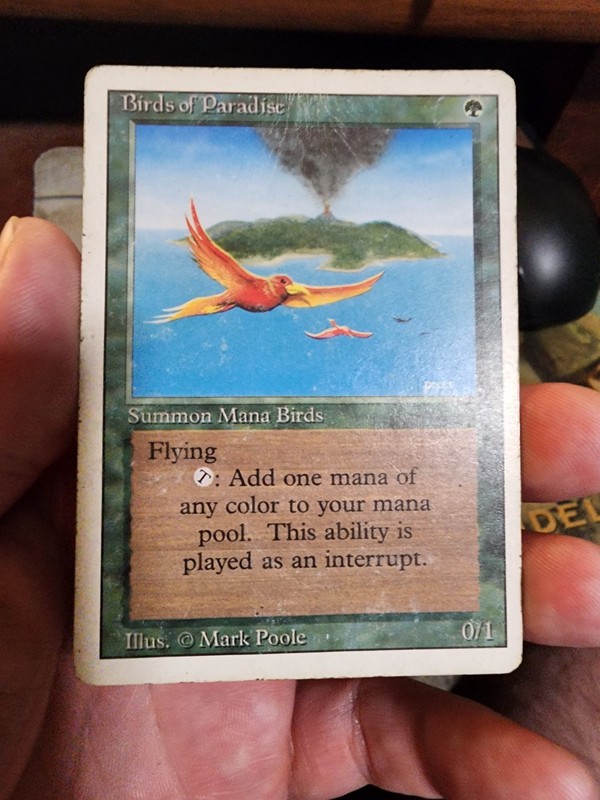 Revised 3rd Edition MTG 1 Birds of Paradise Magic