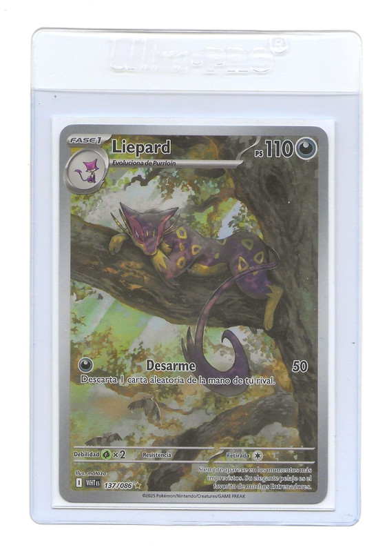 LIEPARD Holo 137/086 WHITE FLARE Illustration Rare Spanish Pokemon NM