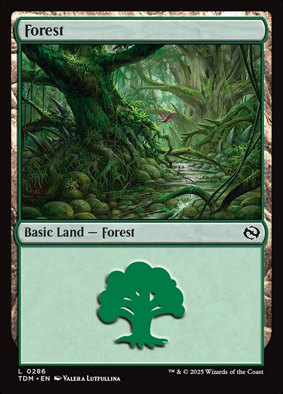 MTG Tarkir Dragonstorm L Forest #0286 PLAYSET 4X X4