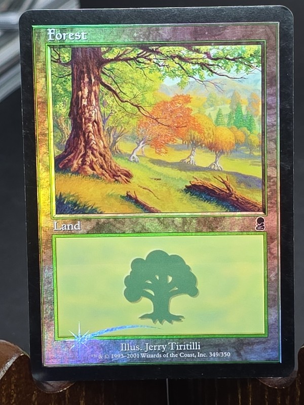 Forest (349) Odyssey MTG Foil Lightly Played