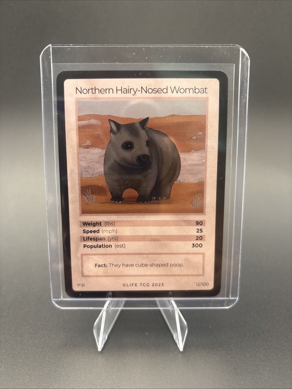 Life Tcg 12/100 Non Holo Northern Hairy-Nosed Wombat