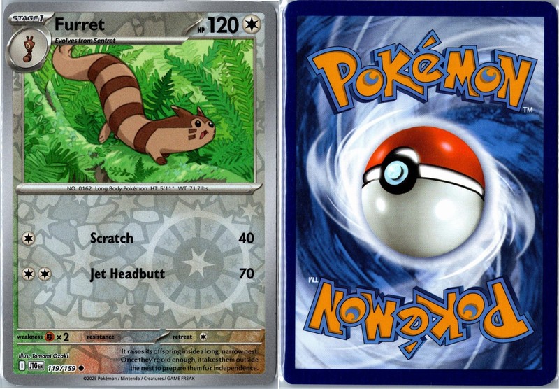 Pokemon Card - Furret Journey Together 119/159 2025 Common Reverse Holo NM gallery