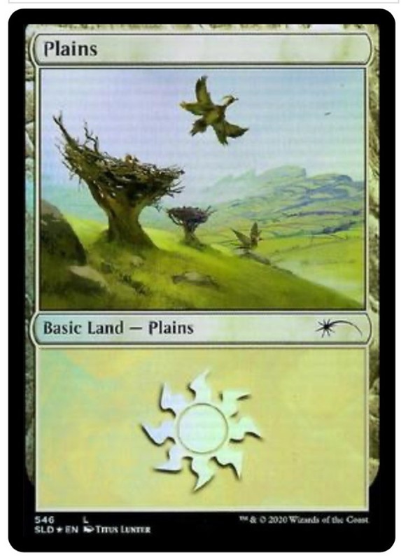 Plains (546) Secret Lair Drop -SLD- FOIL- NM/M – BIRDS