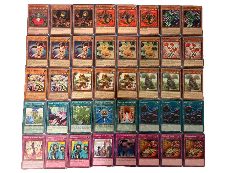 YUGIOH Plant Deck Complete 40 Cards gallery