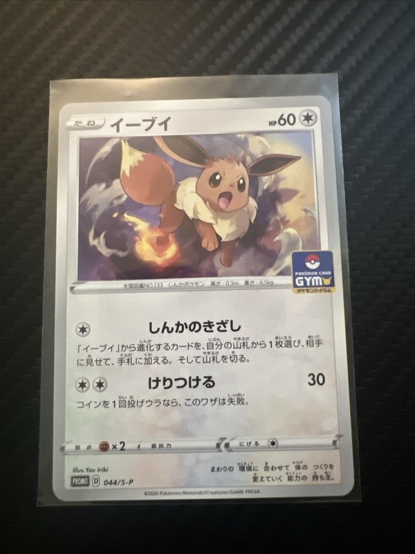 Eevee 117/S-P GYM Promo Pokémon Card