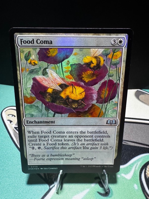 Food Coma 308 Uncommon Wilds of Eldraine Magic: The Gathering Foil HP