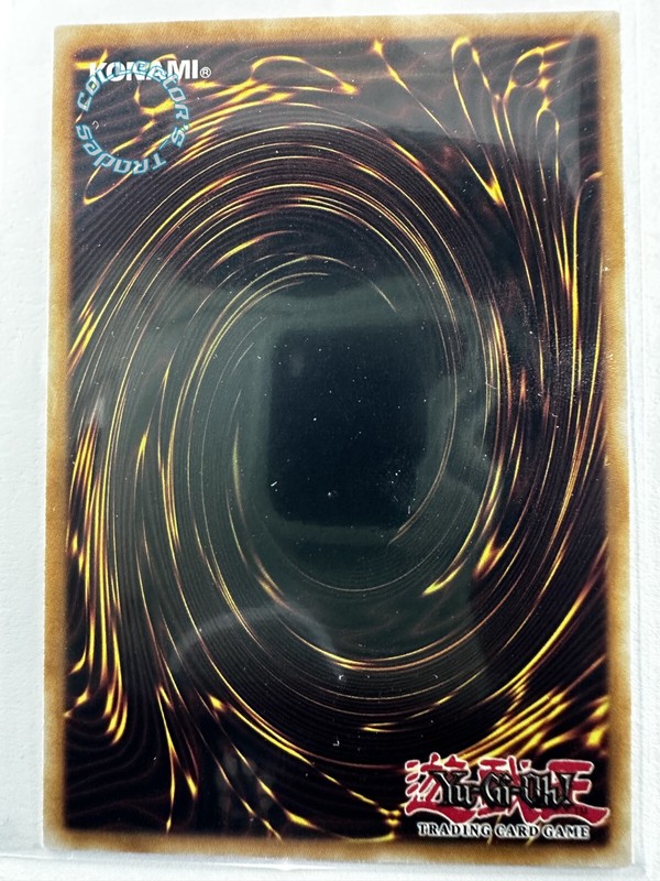 Dinowrestler Coelasilat DANE-EN007 Common 1st Edition Card gallery
