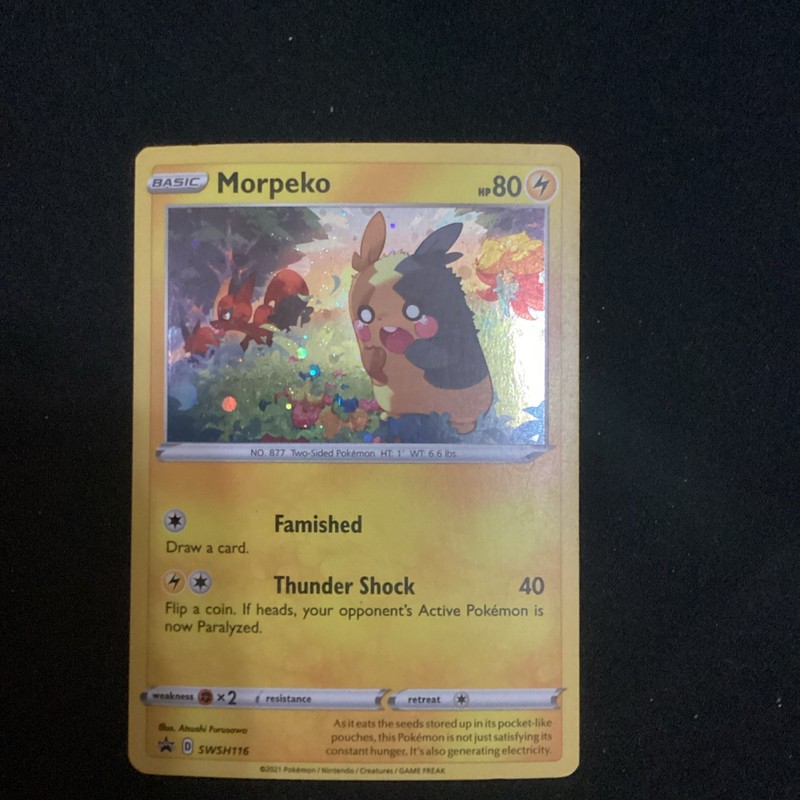 Holo Morpeko SWSH116 Promo Sword & Shield Promo Near Mint