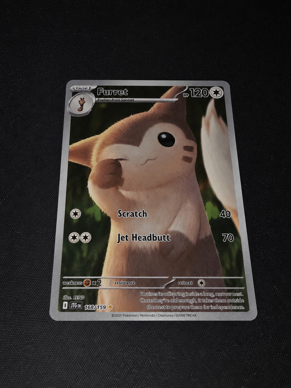 Furret 168/159 Illustration Rare Holo Journey Together Pokemon TCG NM