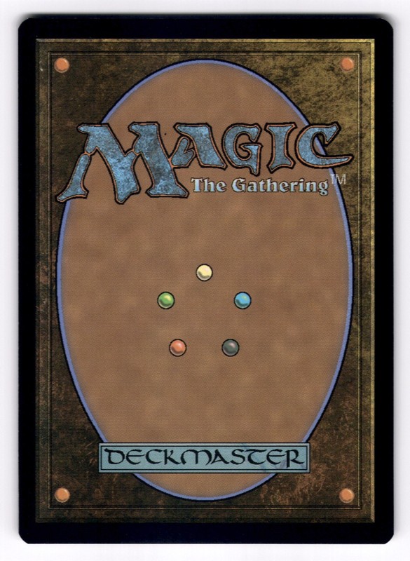Pollywog Prodigy NM Commander: Bloomburrow 15 MTG Regular gallery