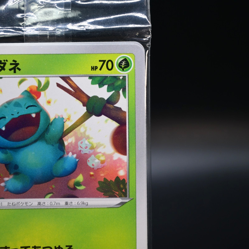 [Sealed] Illustration Contest 2022 Pokemon Card Japanese Promo Set of 3 gallery