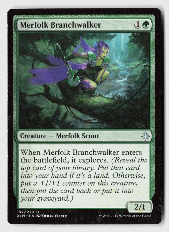 Merfolk Branchwalker 197 Uncommon Ixalan Magic: The Gathering Heavily Played