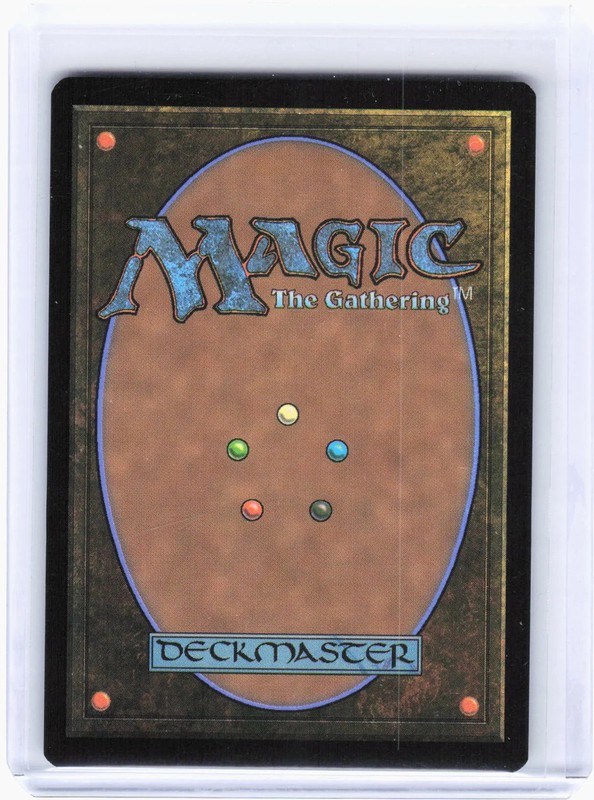 2024 Magic: The Gathering—Slash, Evil Turtle from Dimension X #2363 (SLD)—M Foil gallery