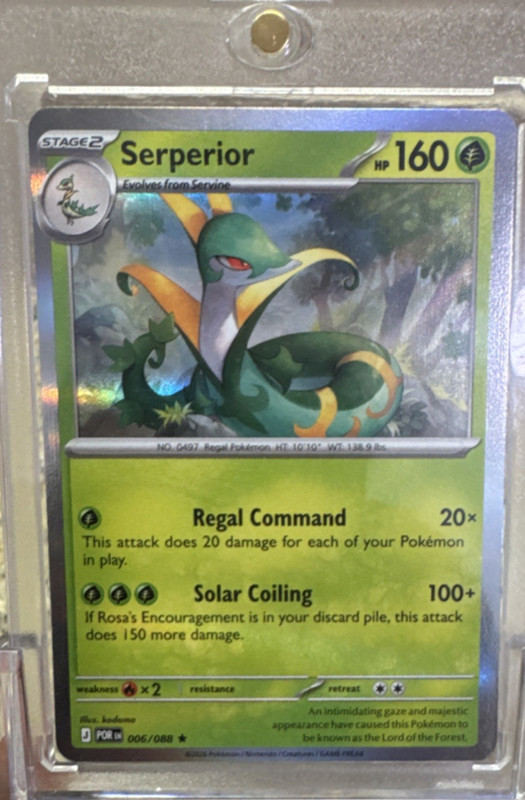 Pokémon TCG Serperior 006/088 POR Stage 2 Rare Regular 160 HP