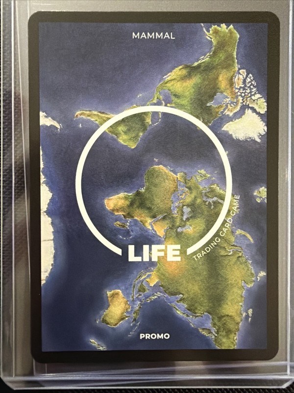 Life TCG 1st Edition 2024 Mammals Promo Full Art Margay 105/100 gallery