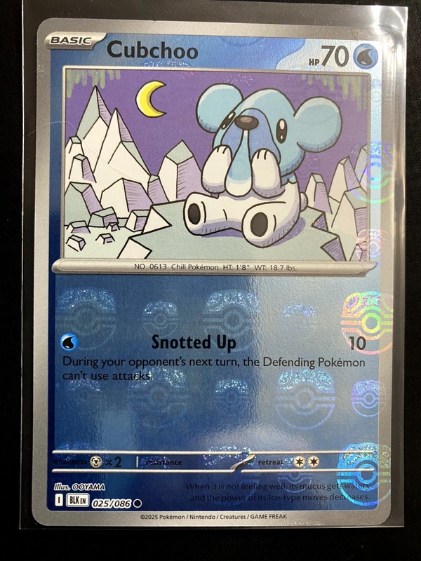 Cubchoo Black Bolt Master Ball Holo 25/86 NM