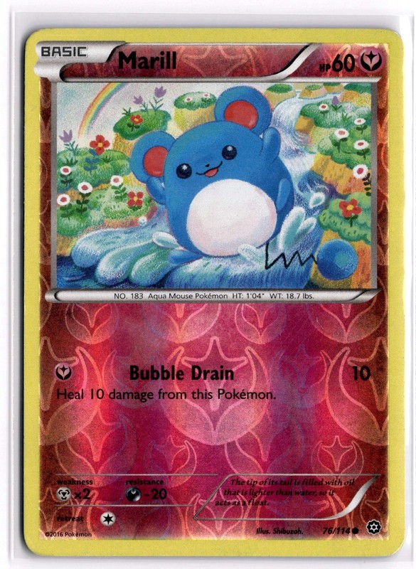 Pokemon TCG Marill 76/114 XY – Steam Siege Common Reverse Holo MP