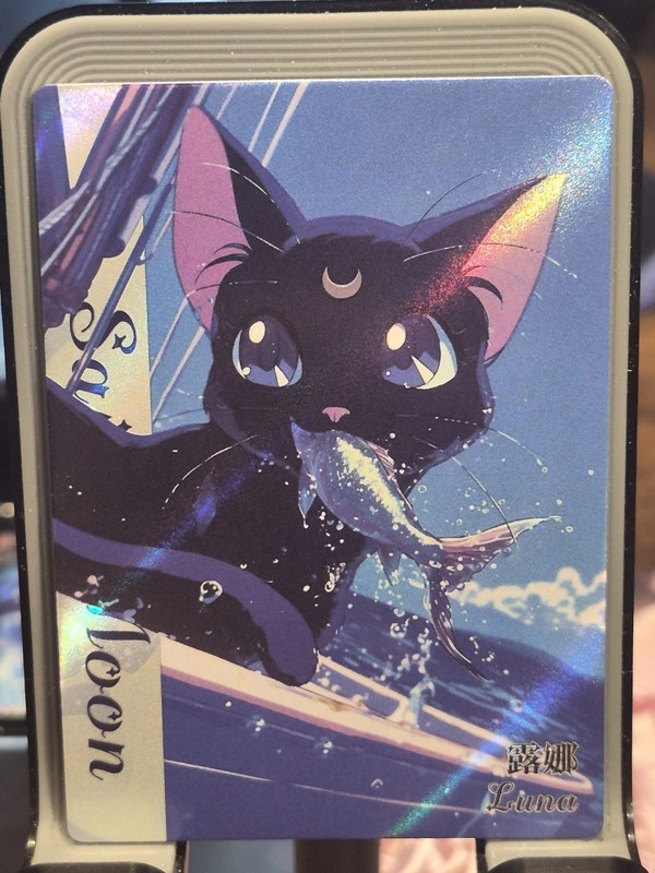 Sparkling Moon Sailor Moon Card Anime TCG HR HR -11 Luna