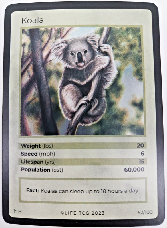 Life TCG Koala 52/100 1st Edition Mammals Holo Common 2023 NM