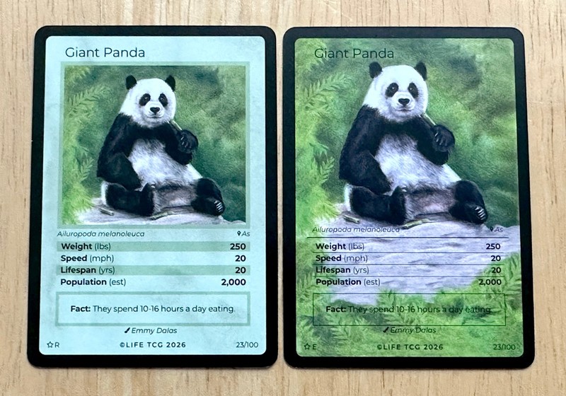 🔥 Life TCG Giant Panda Special Edition Extended Art Card & Non-Holo Card #23