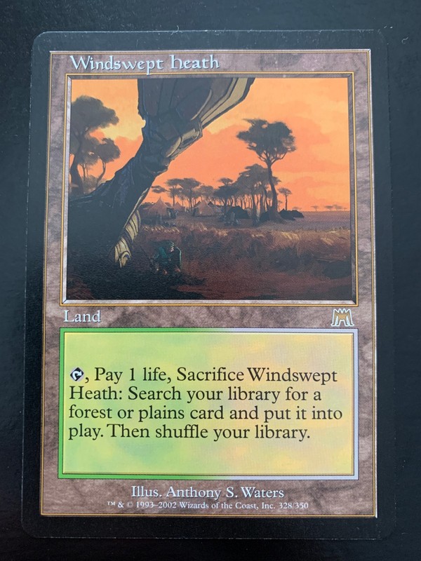 MTG: Windswept Heath – Onslaught 328 – NM