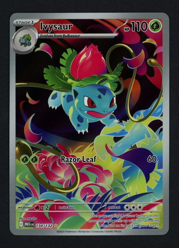 Ivysaur 134/132 ME01: Mega Evolution Holofoil Illustration Rare Pokemon TCG