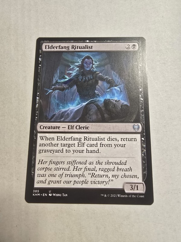 Elderfang Ritualist Kaldheim Regular