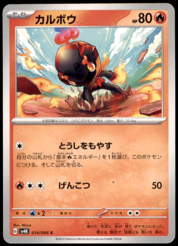 Charcadet 014/066 SV4K: Ancient Roar NM Pokemon TCG