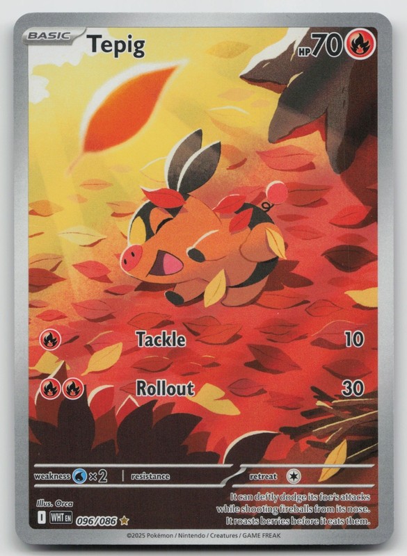 Tepig Illustration Rare SV: White Flare 096/086 NM