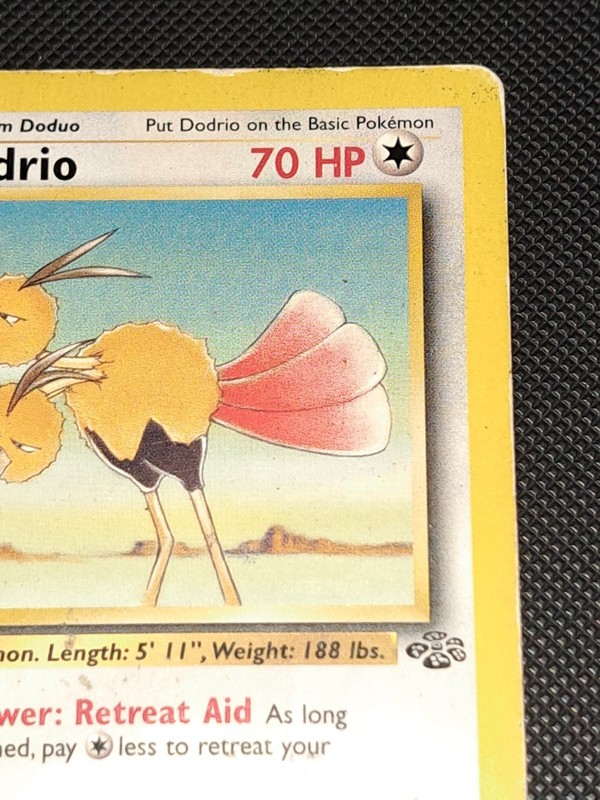 1st Edition Jungle Dodrio gallery