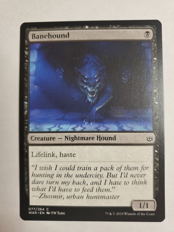 MTG Magic The Gathering Card Banehound Creature Nightmare Hound Black War Of The