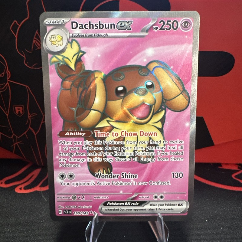 Dachsbun ex 160/142 Sv07: Stellar Crown Holo