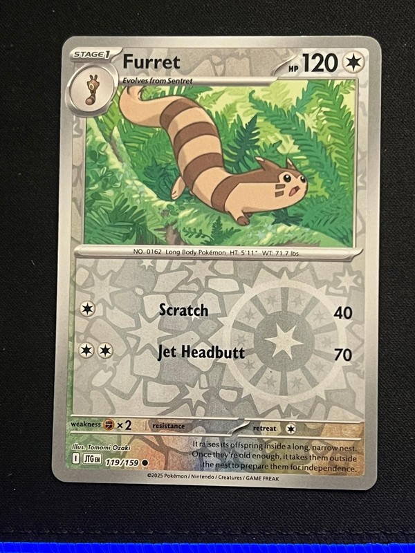 Furret 119/159 Reverse Holo, Journey Together, Pokemon – NM