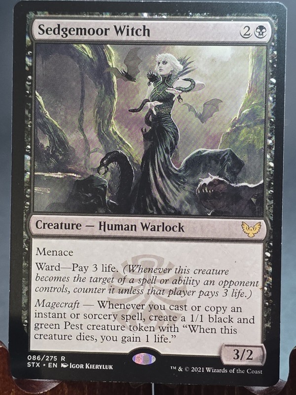 Sedgemoor Witch Strixhaven: School of Mages MTG Regular Lightly Played