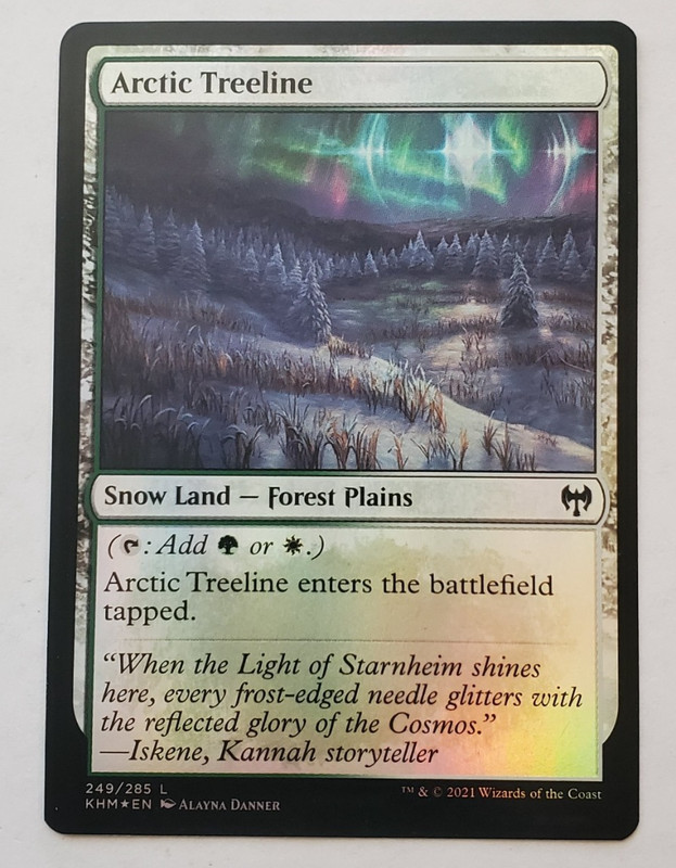 1x Arctic Treeline FOIL Kaldheim MTG Magic the Gathering NM